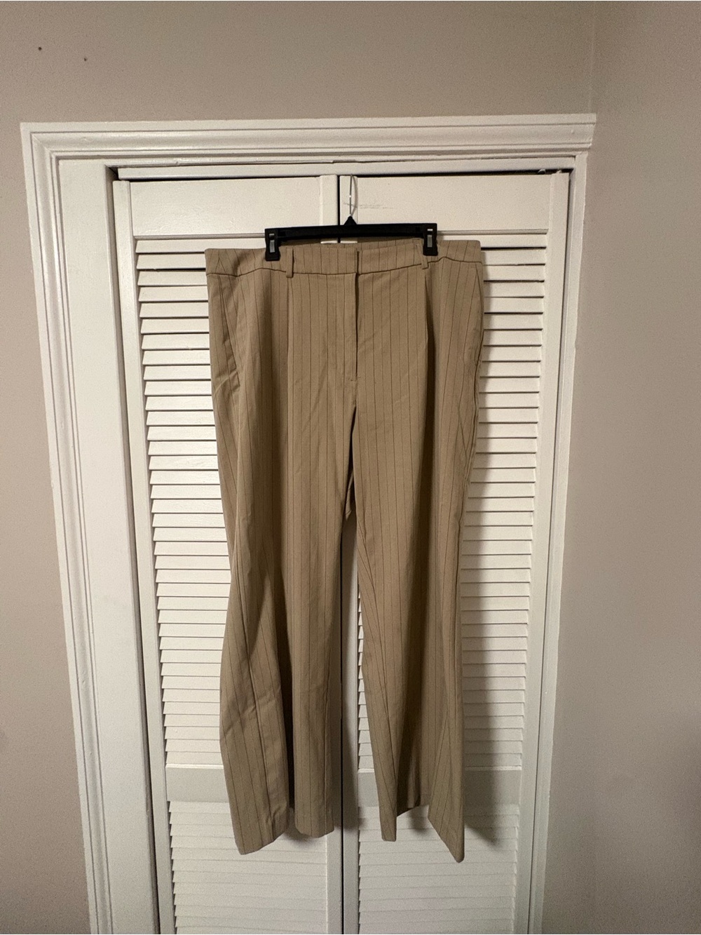 Women’s Beige Pinstripe Dress Pants